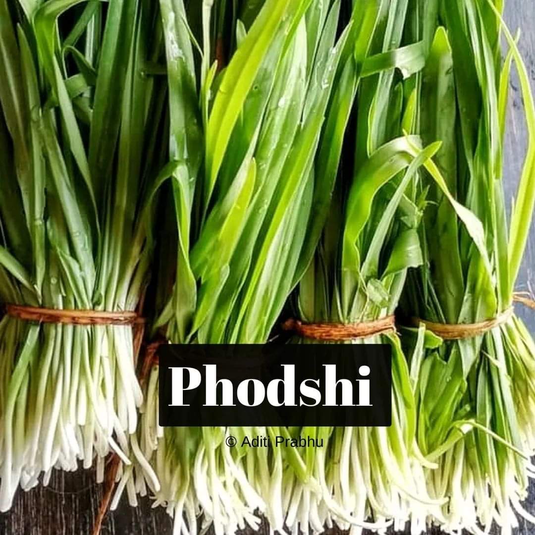 Phodshi